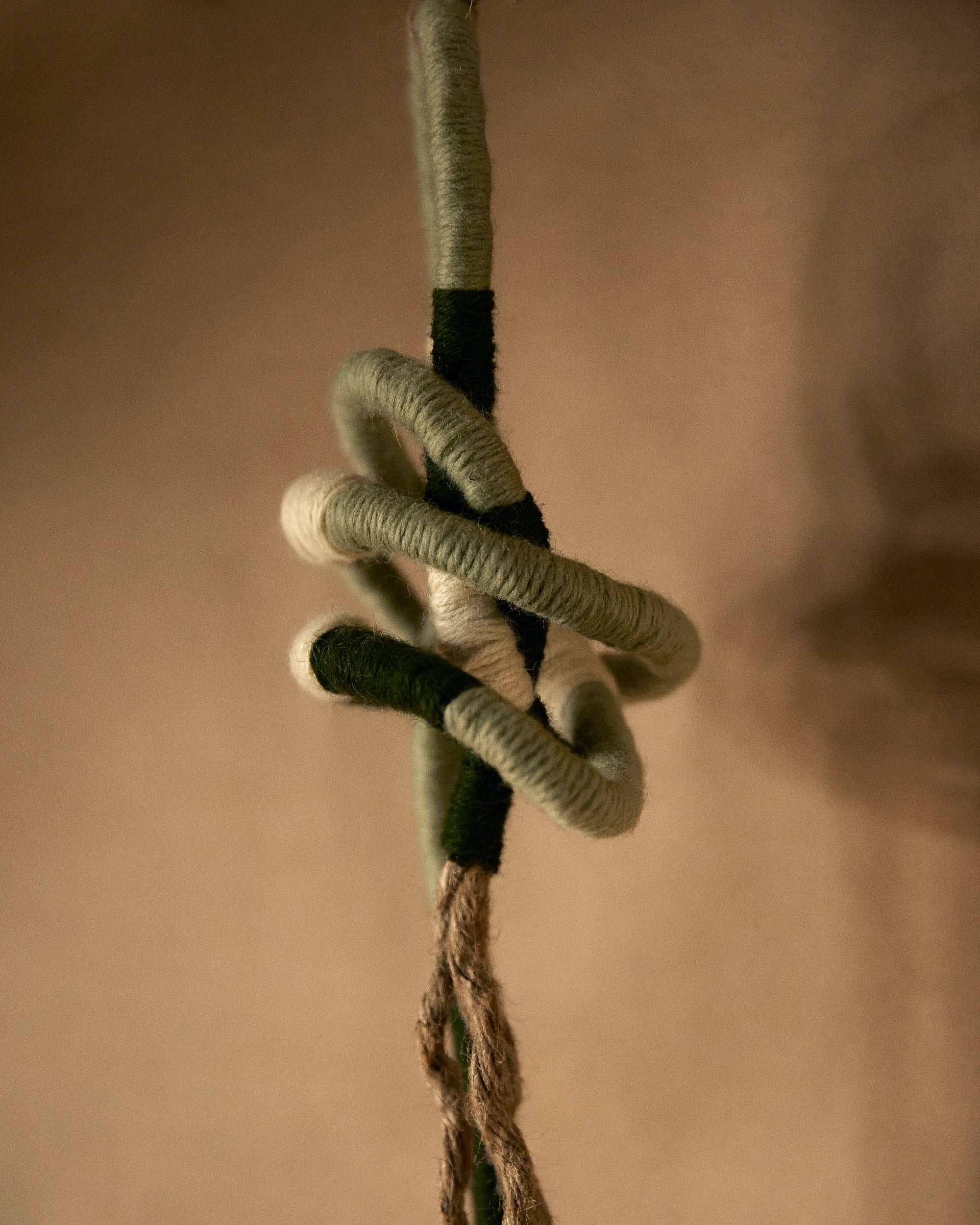 Contort 1